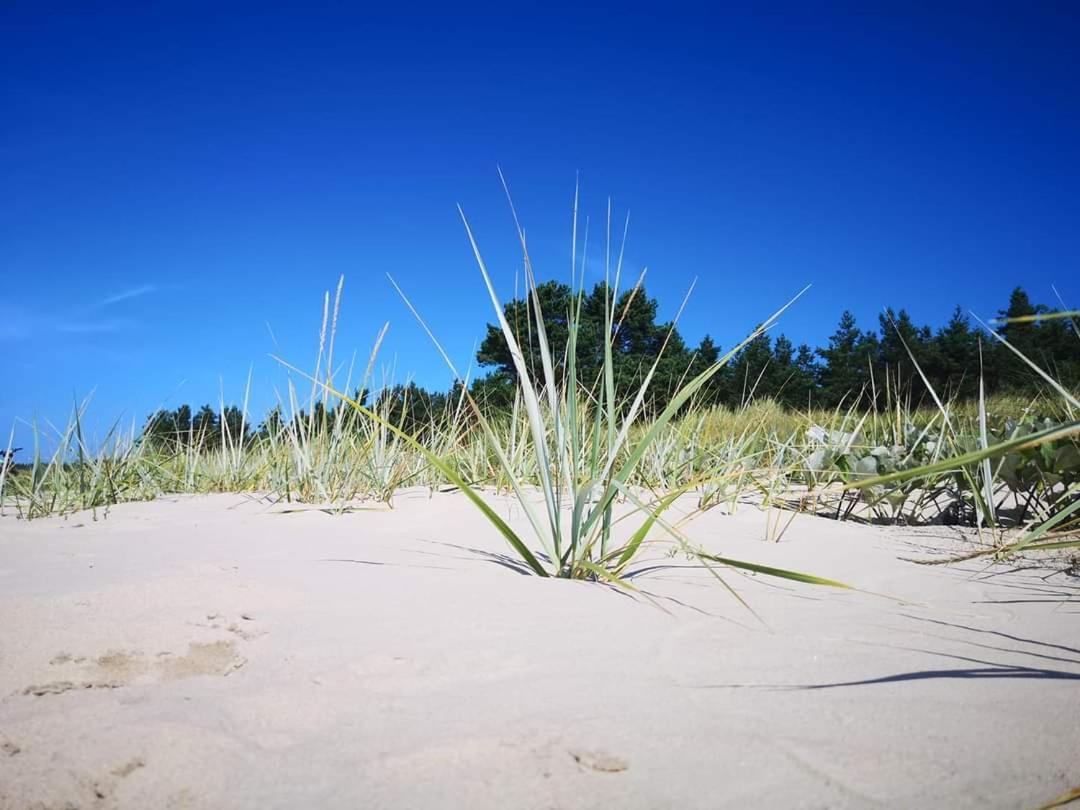 Max Relax Palanga, 1 Lejlighed Eksteriør billede